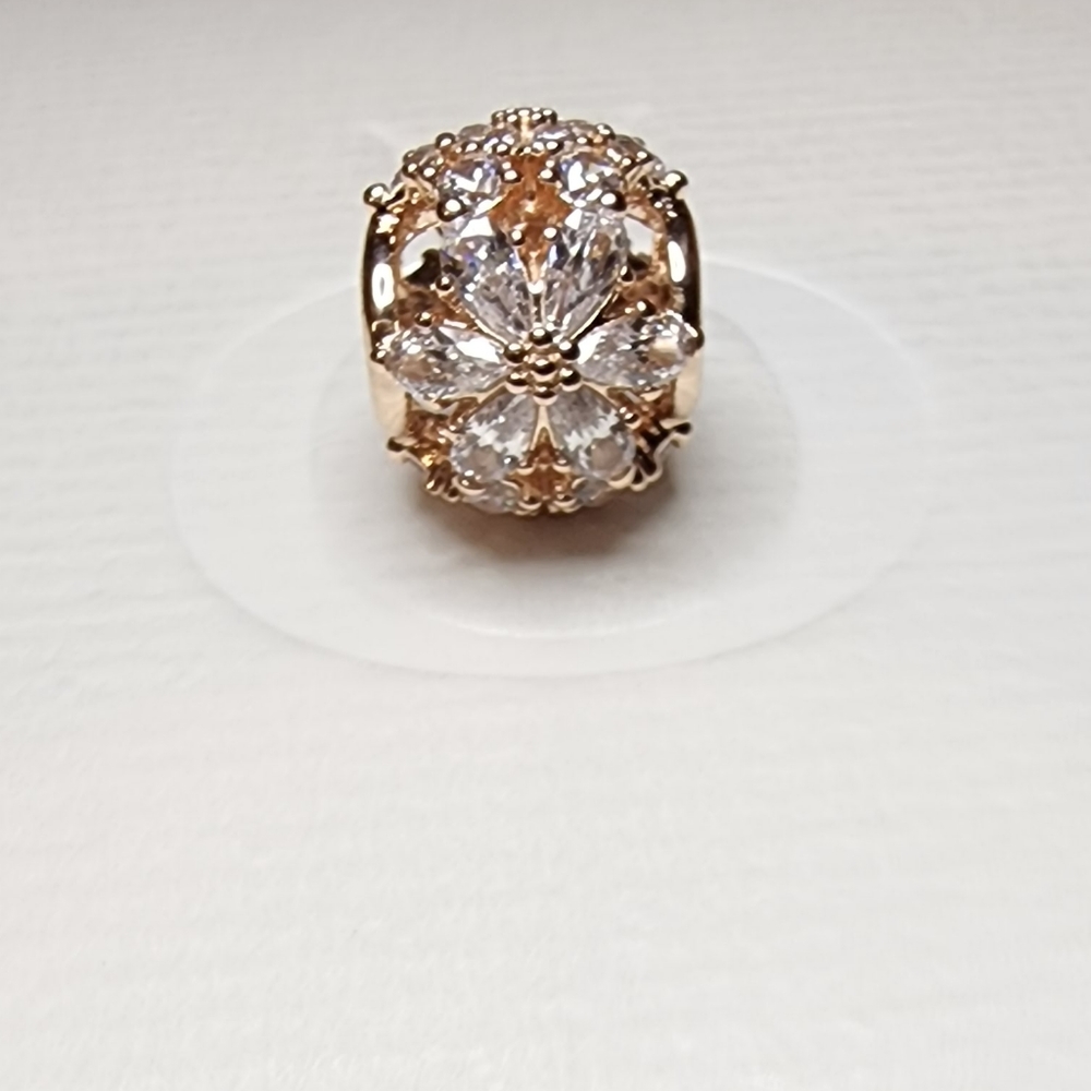 Pandora Sparkling Herbarium Cluster Round Charm - Picture 4 of 15